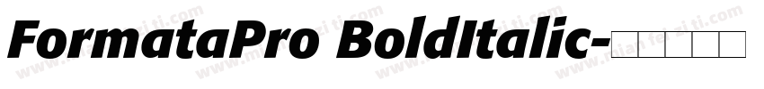 FormataPro BoldItalic字体转换